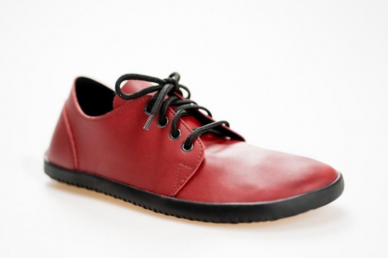 Ahinsa Bindu 2 Barefoot Vrijetijdsschoenen Heren Bordeaux | TRE9119GP