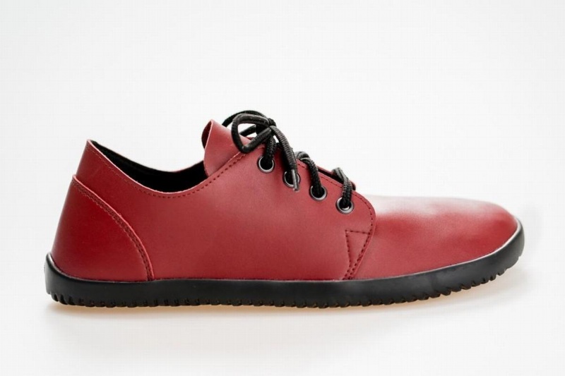 Ahinsa Bindu 2 Barefoot Vrijetijdsschoenen Heren Bordeaux | TRE9119GP